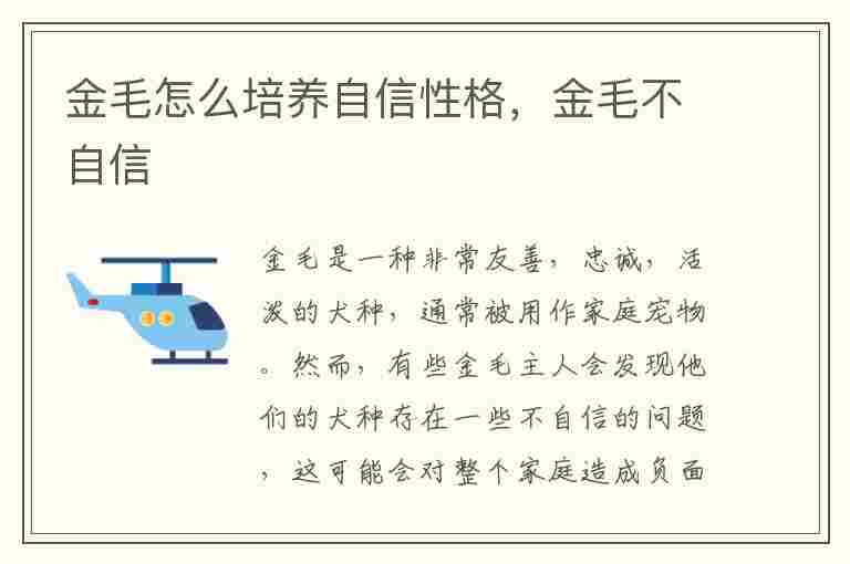 金毛怎么培养自信性格，金毛不自信